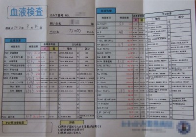DSCF8209