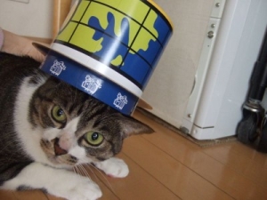 Thumbnail of post image 022