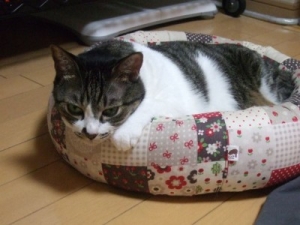 Thumbnail of post image 032