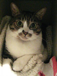 Thumbnail of post image 037