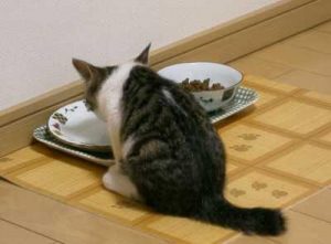 Thumbnail of post image 084