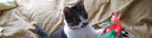 Thumbnail of post image 047