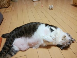 Thumbnail of post image 031