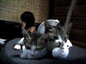 Thumbnail of post image 059