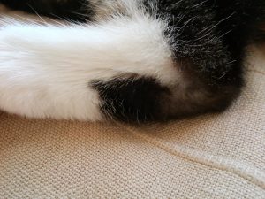 Thumbnail of post image 135