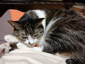 Thumbnail of post image 090