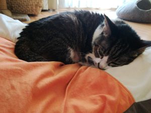 Thumbnail of post image 087