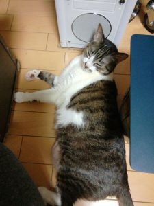 Thumbnail of post image 077