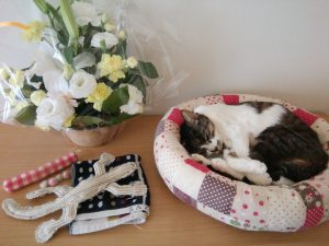 Thumbnail of post image 133