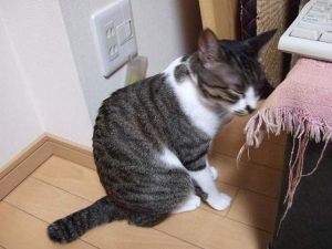 Thumbnail of post image 118