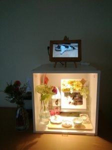 Thumbnail of post image 069