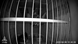 Thumbnail of post image 042