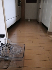 Thumbnail of post image 122