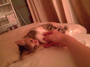 Thumbnail of post image 126