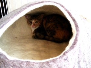 Thumbnail of post image 053