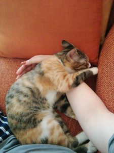Thumbnail of post image 047