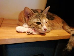 Thumbnail of post image 135