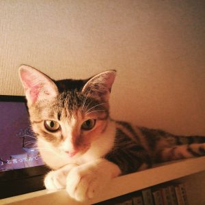 Thumbnail of post image 014