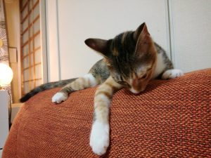 Thumbnail of post image 063