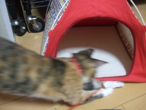 Thumbnail of post image 129