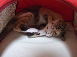 Thumbnail of post image 081