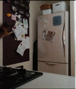 Thumbnail of post image 007