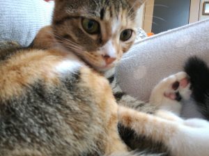 Thumbnail of post image 140