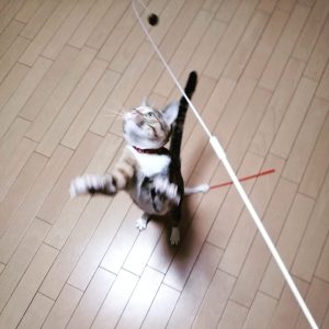 Thumbnail of post image 151