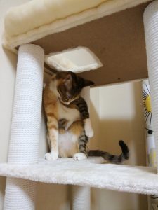 Thumbnail of post image 145